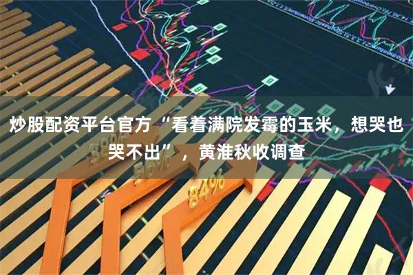炒股配资平台官方 “看着满院发霉的玉米,想哭也哭不出” ,黄淮秋收调查