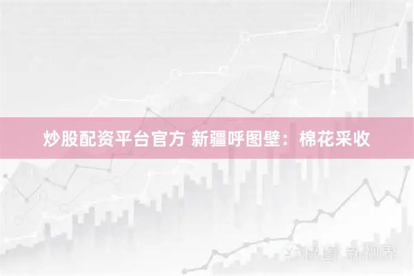 炒股配资平台官方 新疆呼图壁：棉花采收
