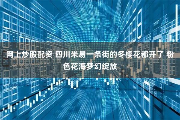网上炒股配资 四川米易一条街的冬樱花都开了 粉色花海梦幻绽放