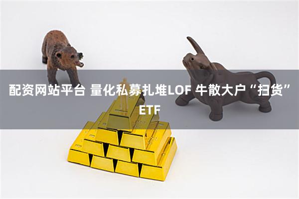 配资网站平台 量化私募扎堆LOF 牛散大户“扫货”ETF
