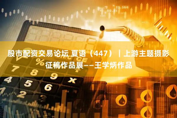 股市配资交易论坛 夏语（447）｜上游主题摄影征稿作品展——王学炳作品