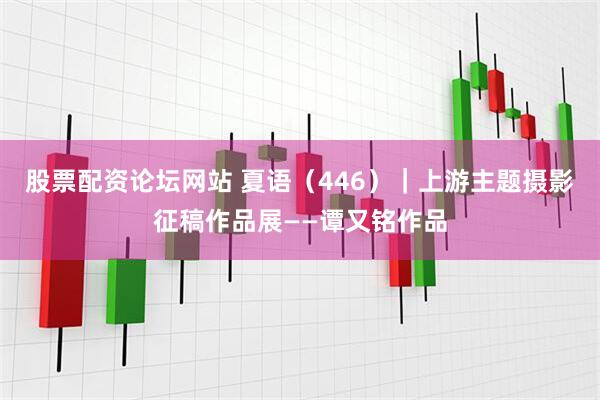 股票配资论坛网站 夏语（446）｜上游主题摄影征稿作品展——谭又铭作品