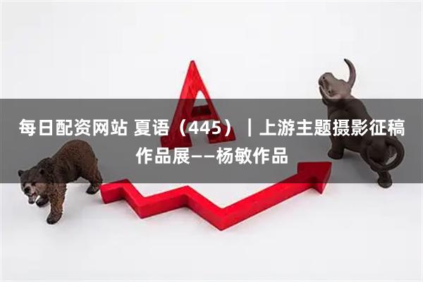 每日配资网站 夏语（445）｜上游主题摄影征稿作品展——杨敏作品